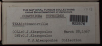 Image Associated With the Occurence